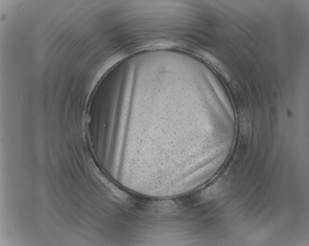 X0000076101186200610061659