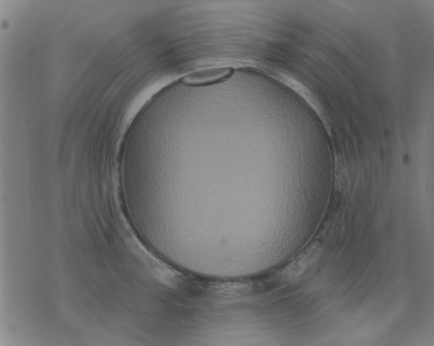 X0000076101187200610061659