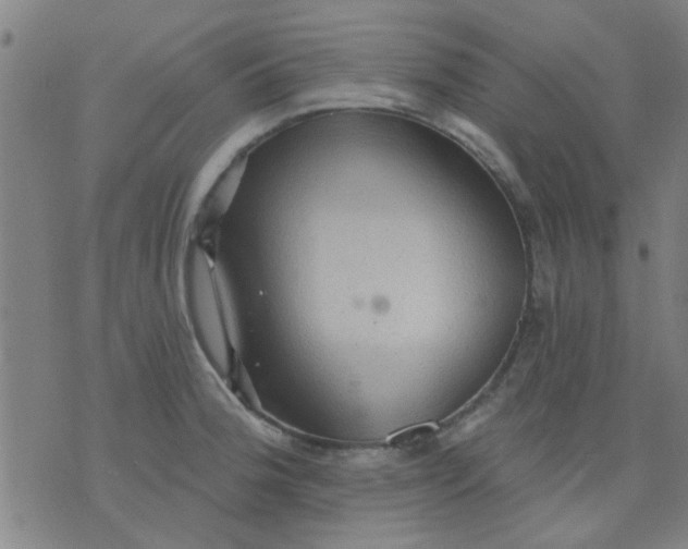 X0000076101188200610061659