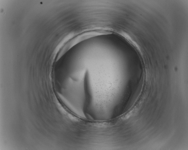 X0000076101189200610061659