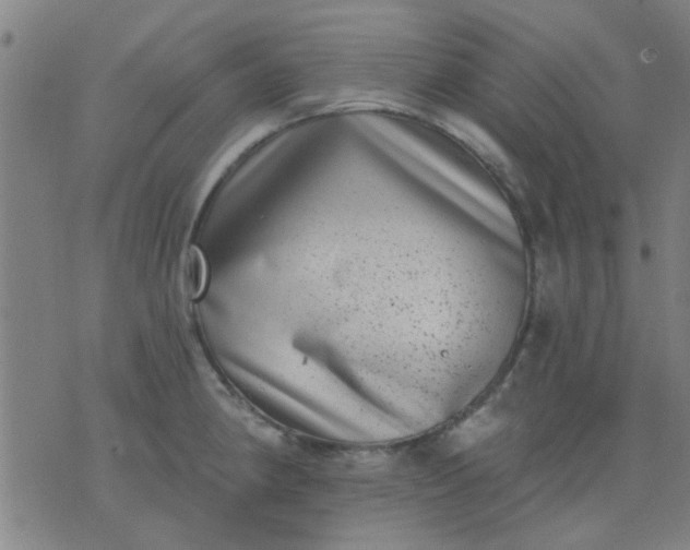 X0000076101190200610061659