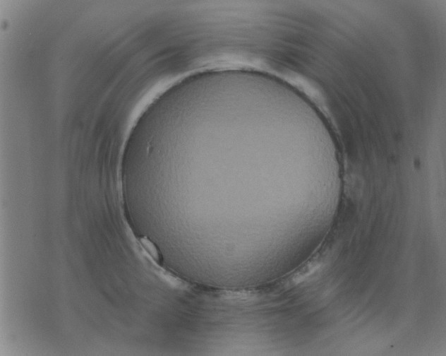 X0000076101191200610061659