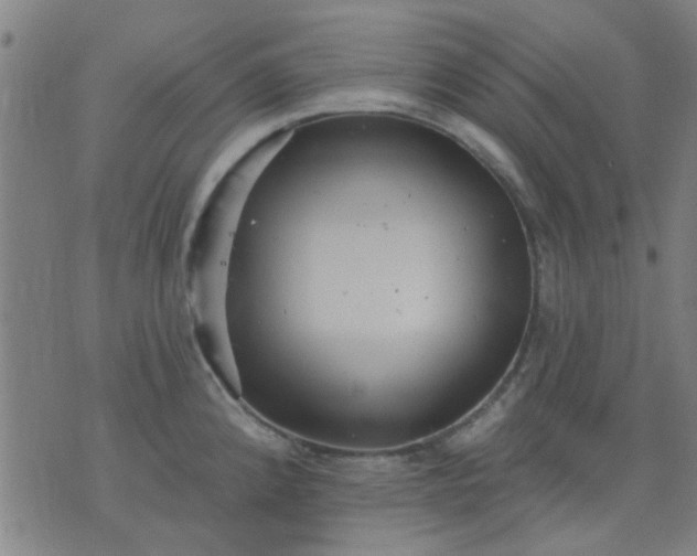 X0000076101192200610061659