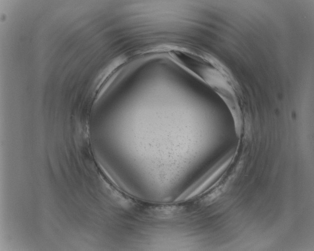 X0000076101193200610061659