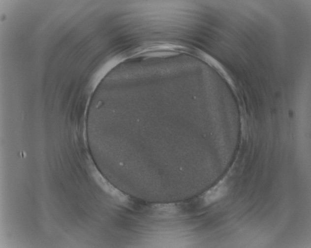 X0000076101194200610061659