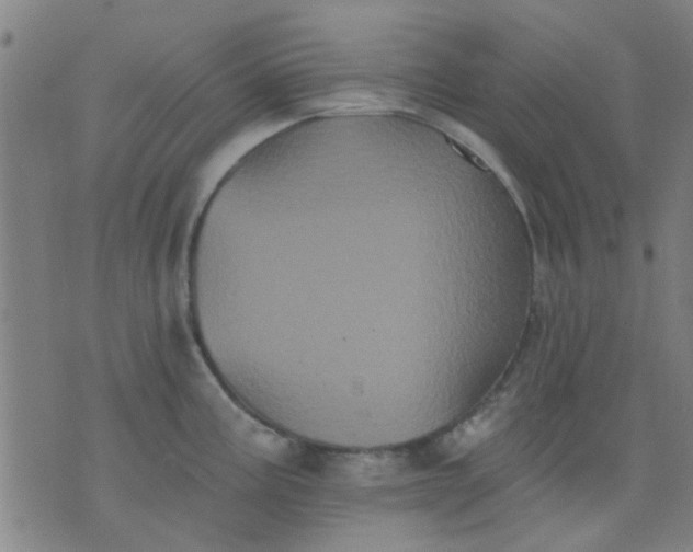 X0000076101195200610061659