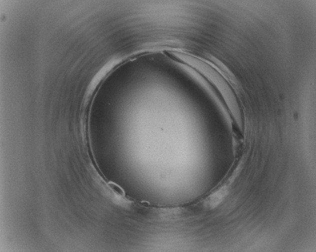 X0000076101196200610061659