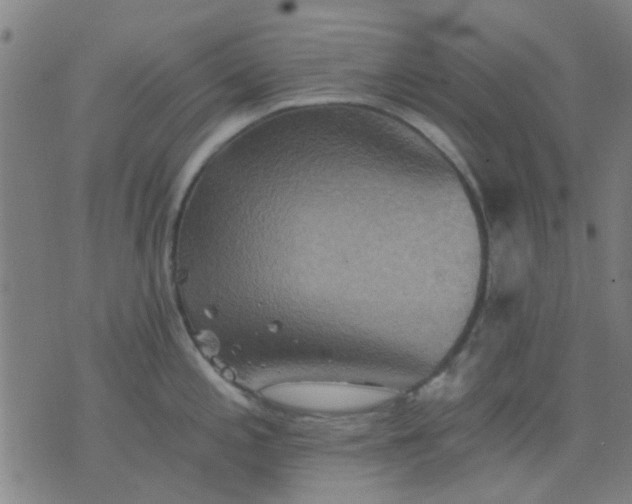 X0000076101197200610061659