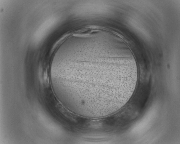 X0000076101198200610061659