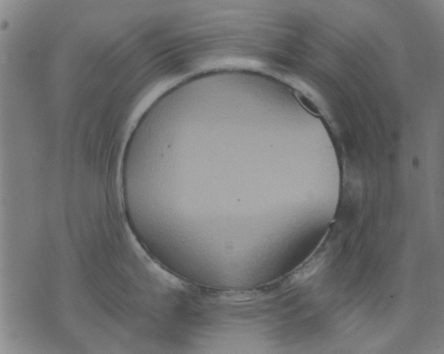 X0000076101199200610061659