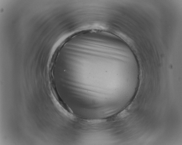 X0000076101200200610061659