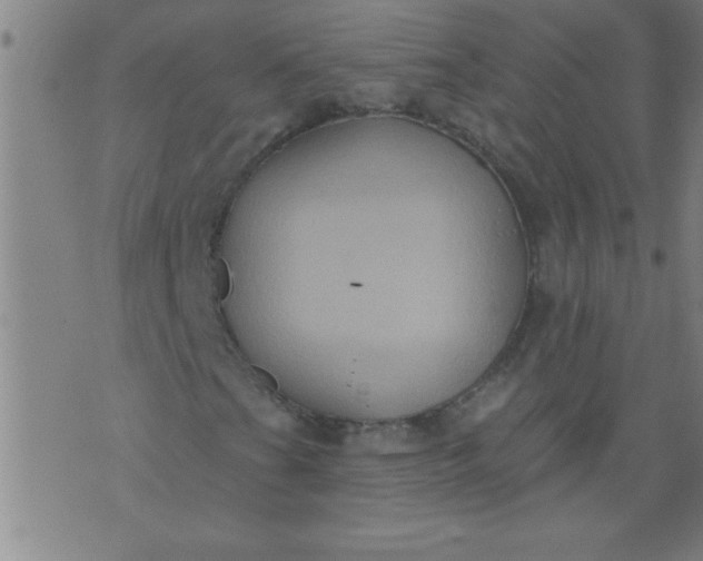 X0000076101201200610061658