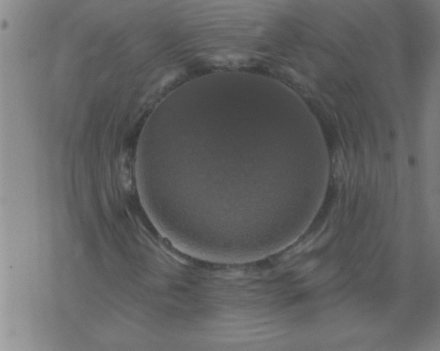 X0000076101202200610061658