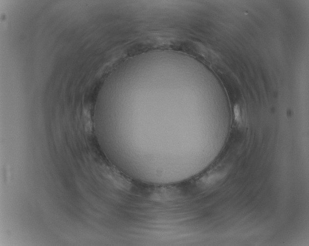 X0000076101203200610061658