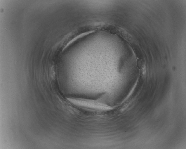 X0000076101204200610061658