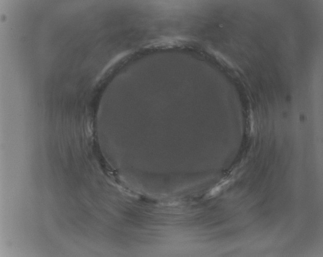 X0000076101206200610061658