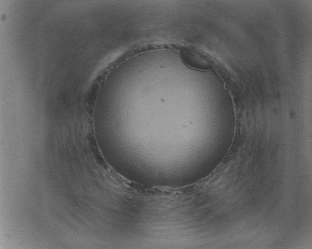 X0000076101207200610061658