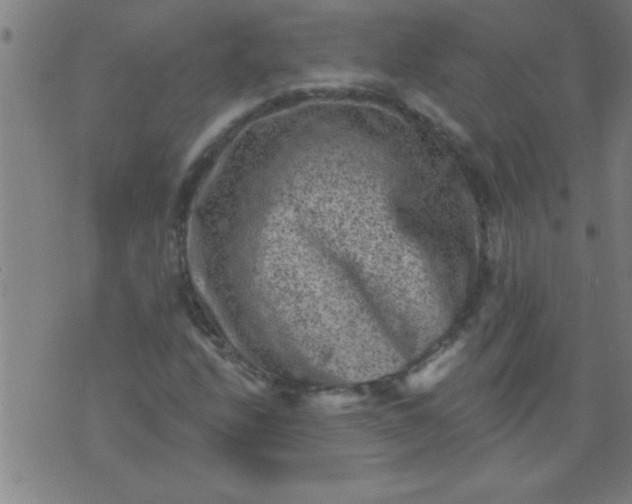 X0000076101208200610061658