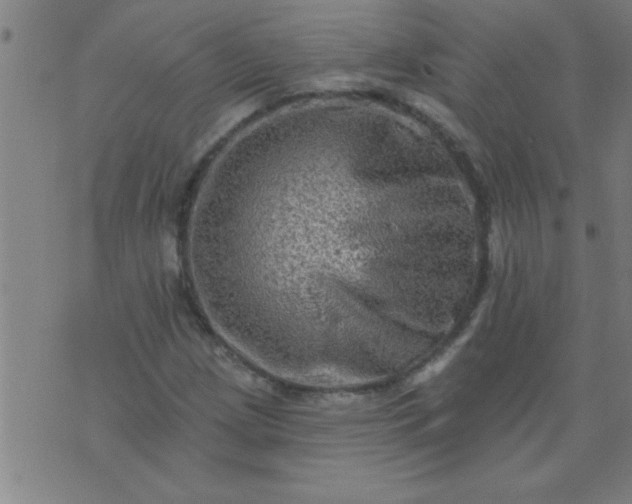 X0000076101209200610061658