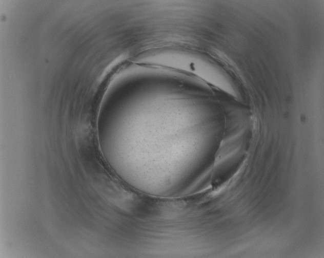 X0000076101210200610061658