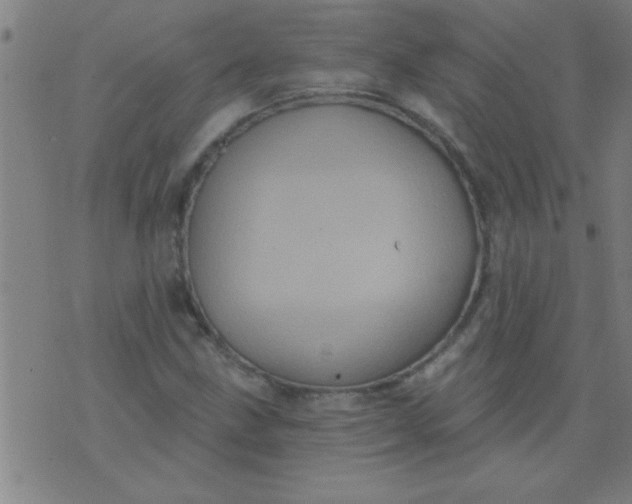 X0000076101211200610061658