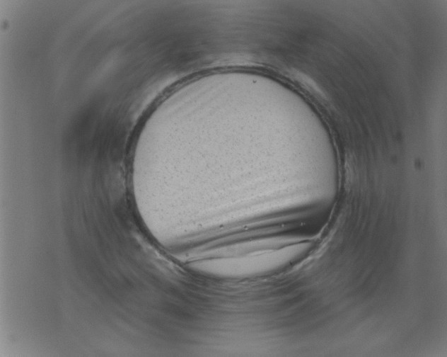 X0000076101212200610061658