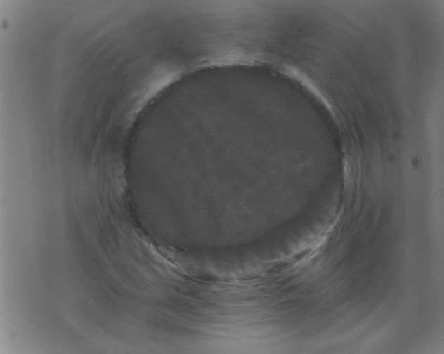 X0000076101213200610061658