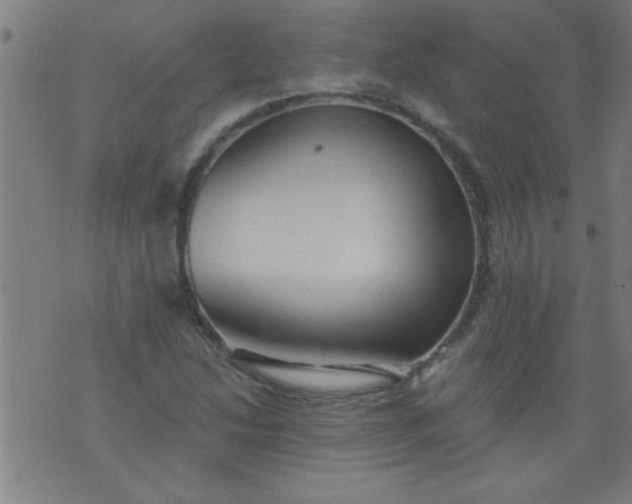 X0000076101214200610061658