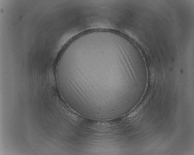 X0000076101215200610061658