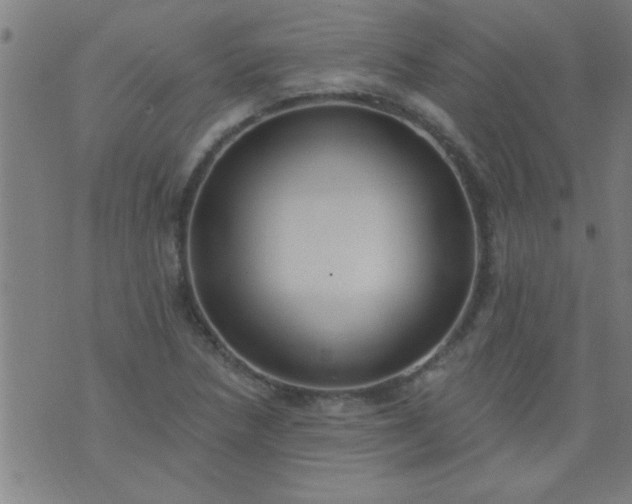 X0000076101218200610061658