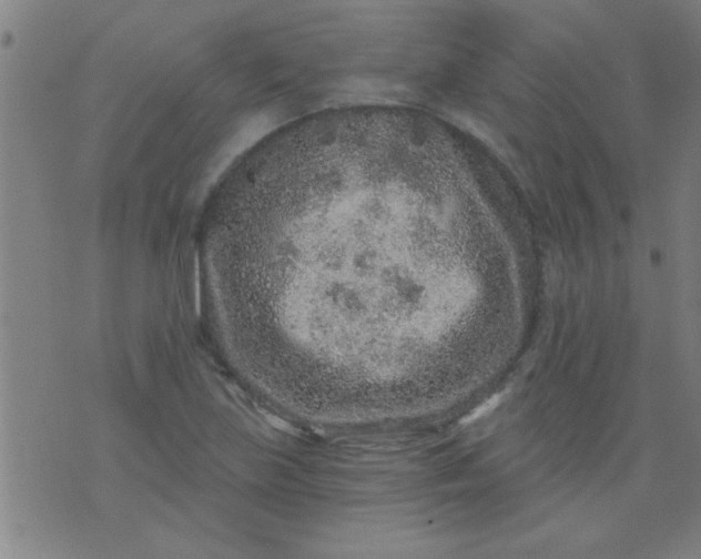 X0000076101219200610061658