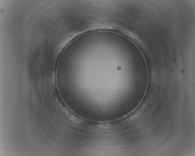 X0000076101220200610061658