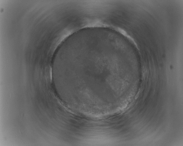 X0000076101221200610061658