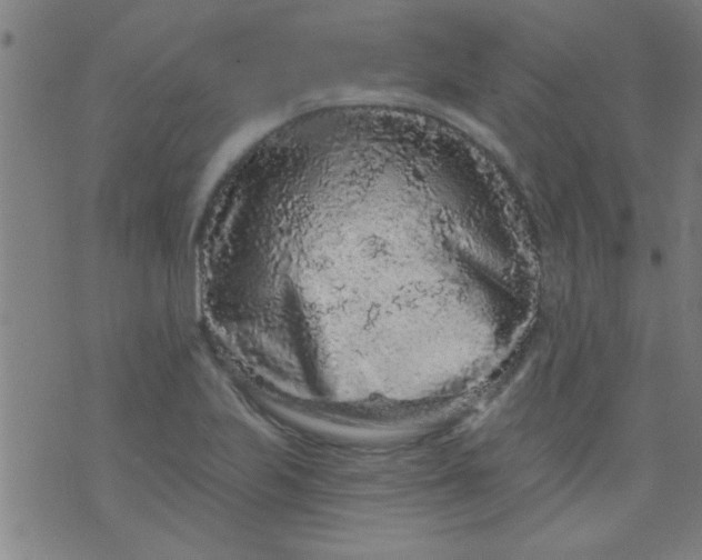 X0000076101223200610061658