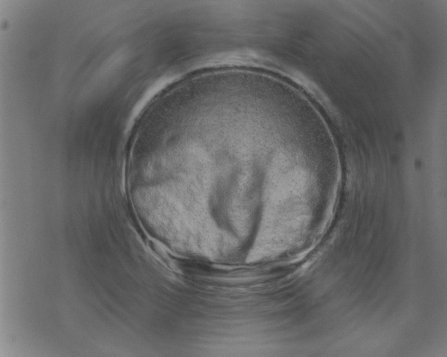 X0000076101224200610061658