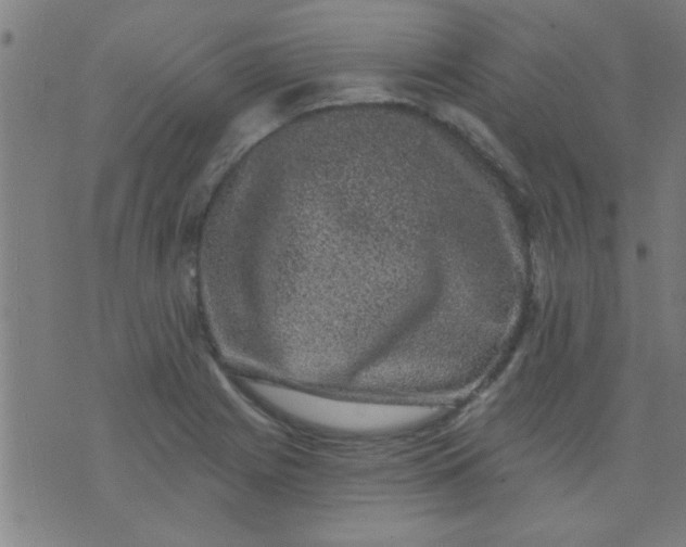 X0000076101225200610061658