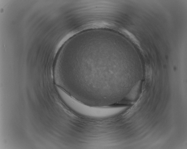 X0000076101226200610061658