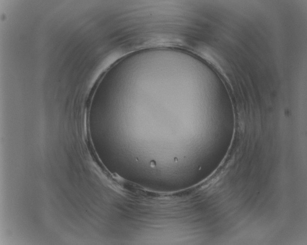 X0000076101227200610061658