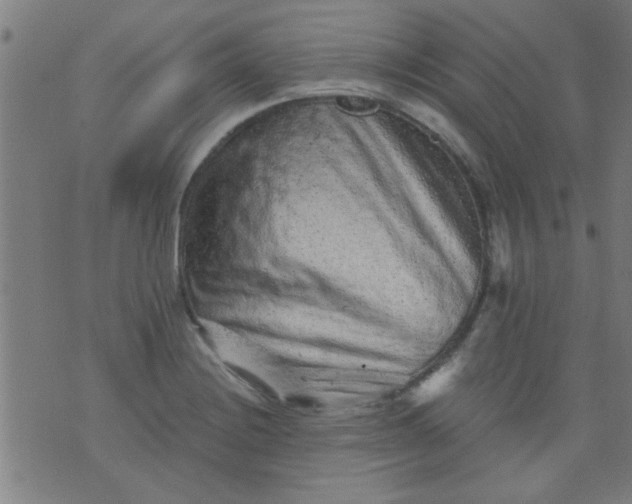 X0000076101228200610061658