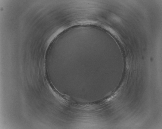 X0000076101229200610061658