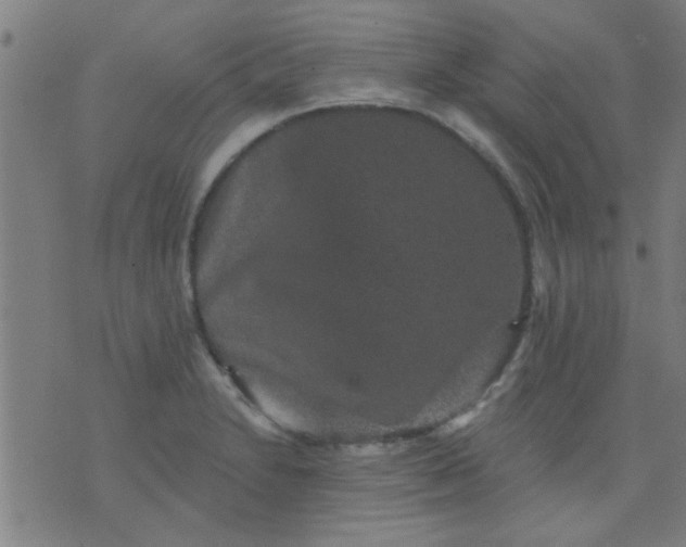 X0000076101230200610061658