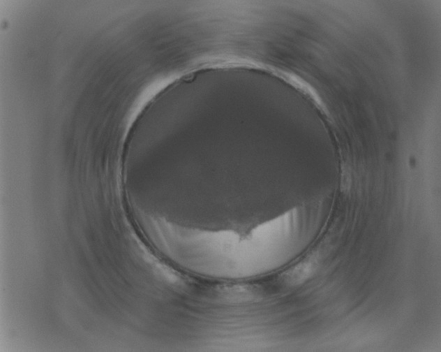 X0000076101231200610061658