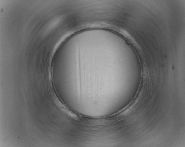 X0000076101232200610061658