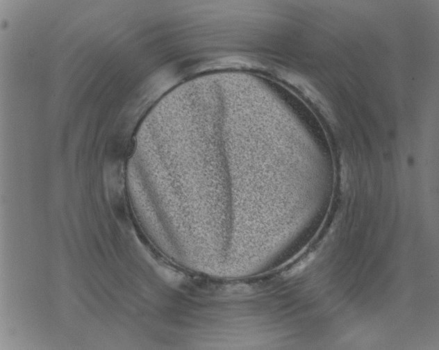 X0000076101233200610061658