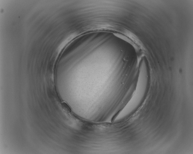 X0000076101234200610061658