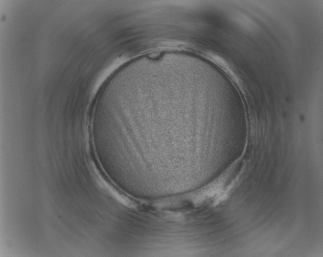 X0000076101235200610061658