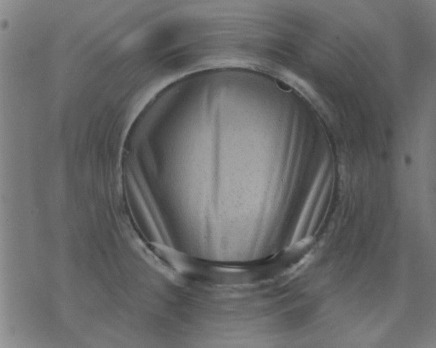 X0000076101236200610061658