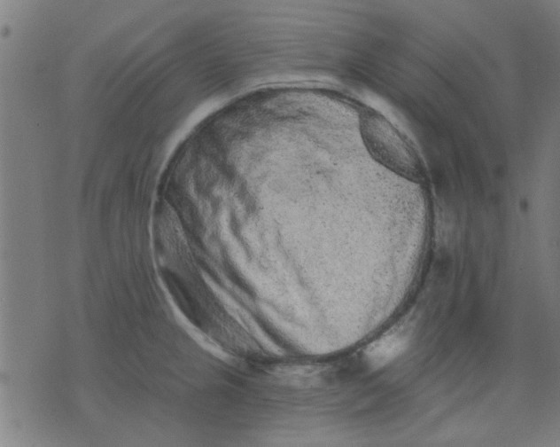 X0000076101237200610061658