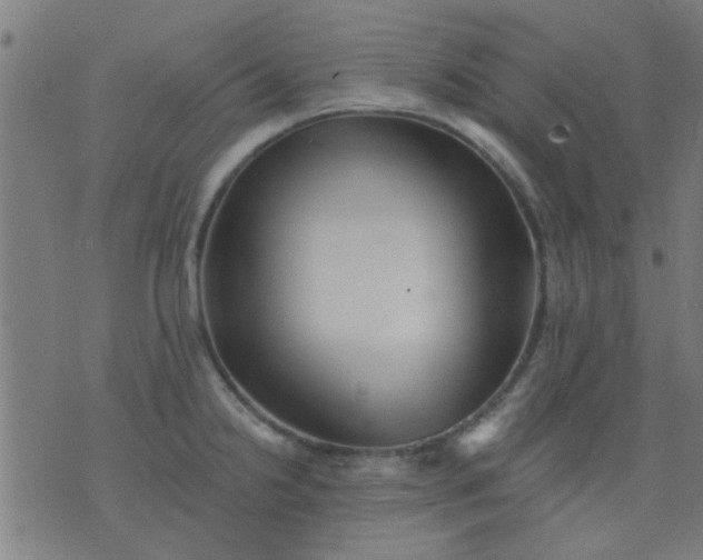 X0000076101238200610061658