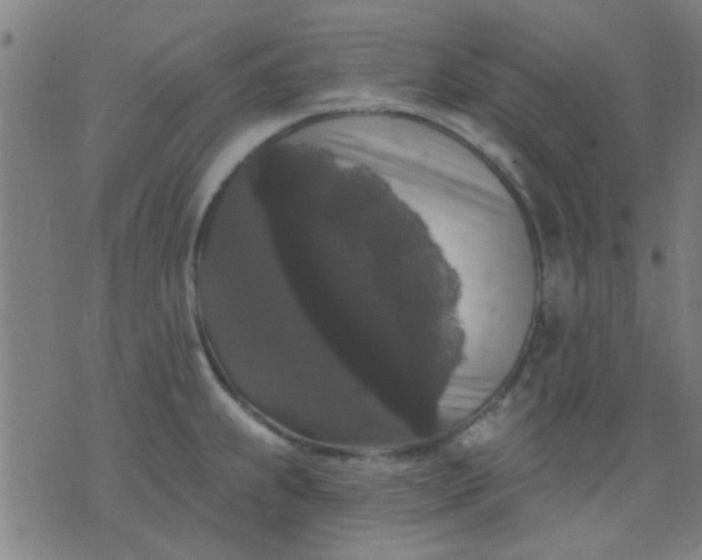 X0000076101239200610061658